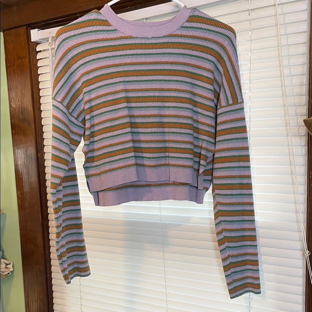 La Hearts Striped Crop Top in Purple, Brown, and Green